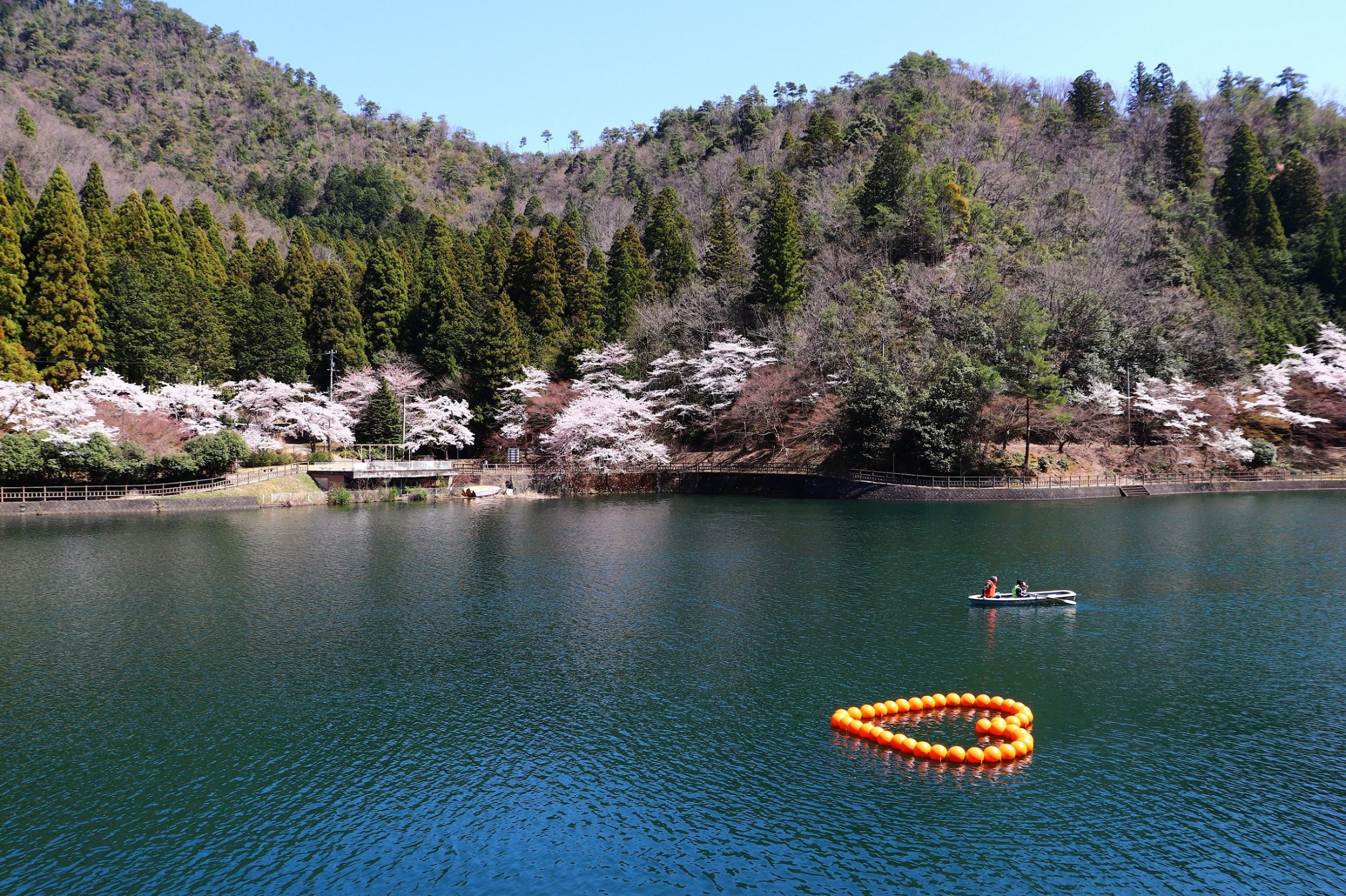 伊自良湖